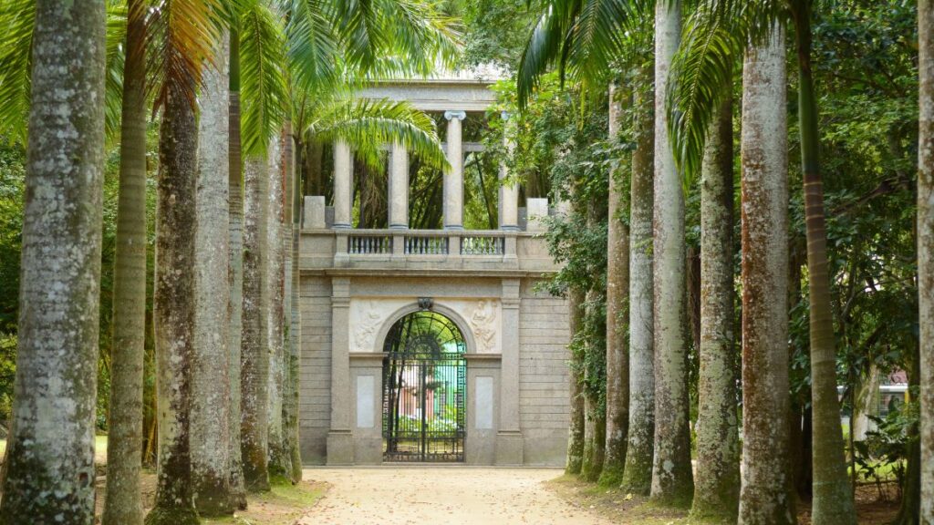 Jardim Botânico Rio de Janeiro palmeiras imperiais natureza pontos turísticos