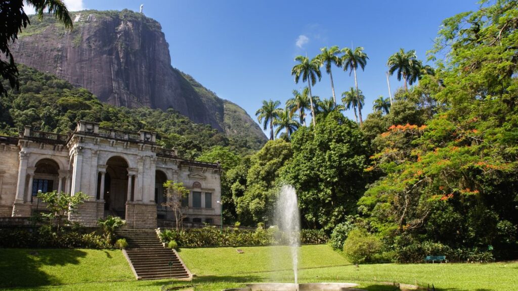 Jardim Botanico do Rio de Janeiro Passeios em meio a natureza